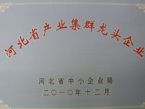 河北省中小企業(yè)局產業(yè)集群龍頭企業(yè)