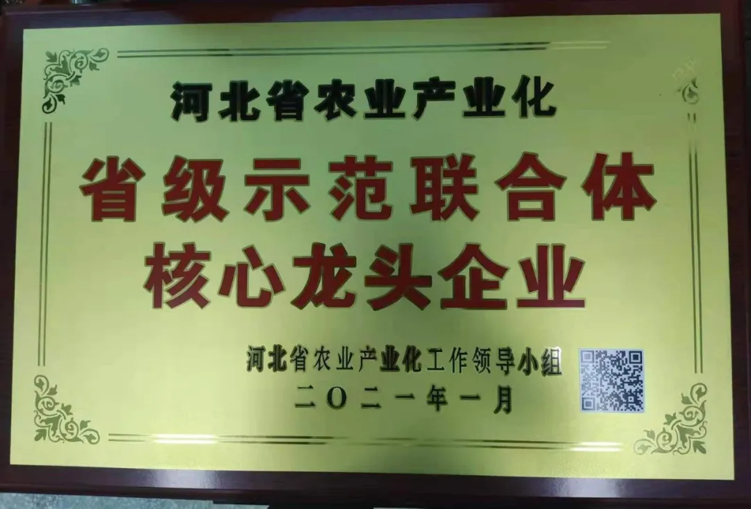 省級示范聯合體核心龍頭企業